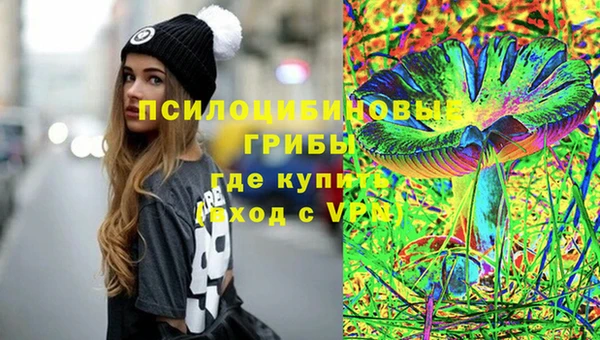 кокс Арсеньев