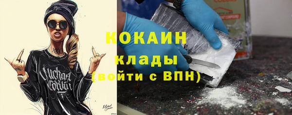 кокс Арсеньев