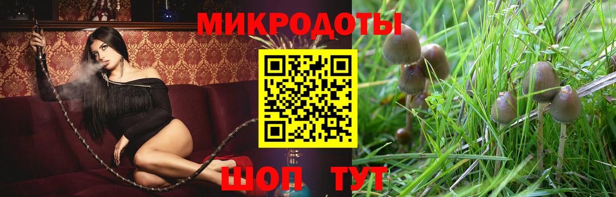 Псилоцибиновые грибы Cubensis Лянтор